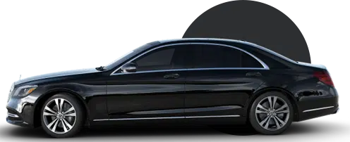 Fleet of Mercedes-Benz S class